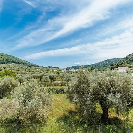 Апартаменты Magdalena & Скопелос